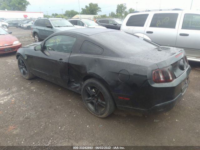 Photo 2 VIN: 1ZVBP8AN0A5141388 - FORD MUSTANG 