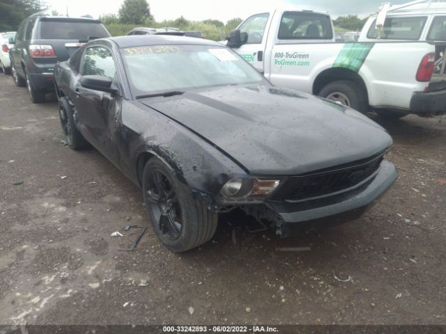 Photo 5 VIN: 1ZVBP8AN0A5141388 - FORD MUSTANG 