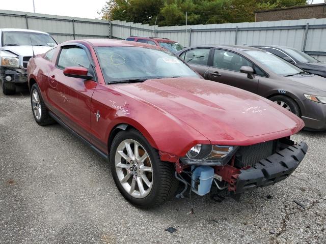 Photo 0 VIN: 1ZVBP8AN0A5146249 - FORD MUSTANG 