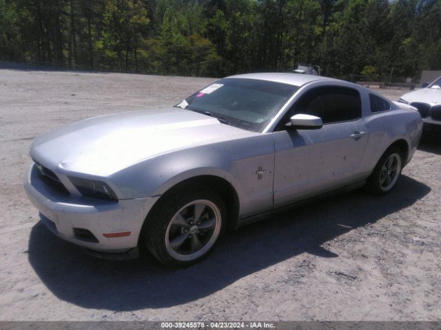 Photo 1 VIN: 1ZVBP8AN0A5155808 - FORD MUSTANG 