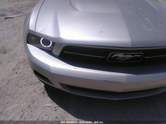 Photo 5 VIN: 1ZVBP8AN0A5155808 - FORD MUSTANG 