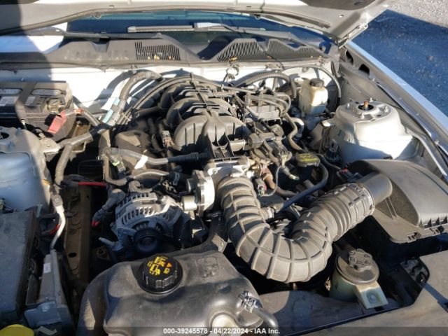 Photo 9 VIN: 1ZVBP8AN0A5155808 - FORD MUSTANG 