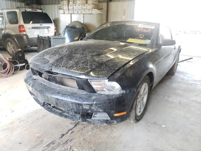 Photo 1 VIN: 1ZVBP8AN0A5157865 - FORD MUSTANG 