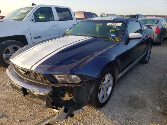 Photo 1 VIN: 1ZVBP8AN0A5165206 - FORD MUSTANG 