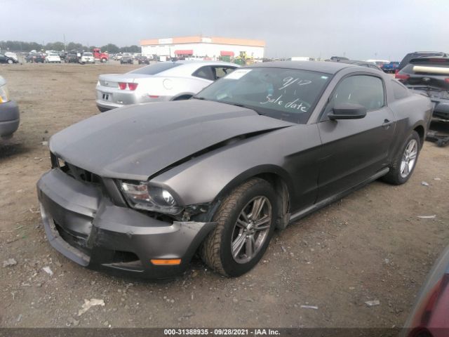 Photo 1 VIN: 1ZVBP8AN1A5127936 - FORD MUSTANG 