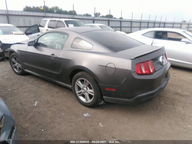 Photo 2 VIN: 1ZVBP8AN1A5127936 - FORD MUSTANG 