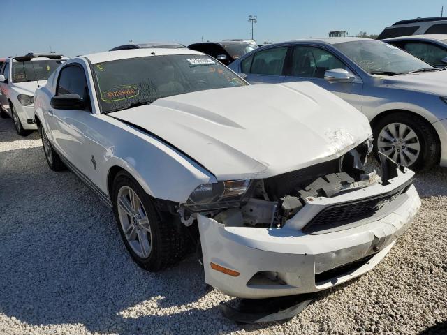 Photo 0 VIN: 1ZVBP8AN1A5131078 - FORD MUSTANG 