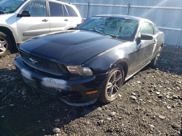 Photo 1 VIN: 1ZVBP8AN1A5137222 - FORD MUSTANG 