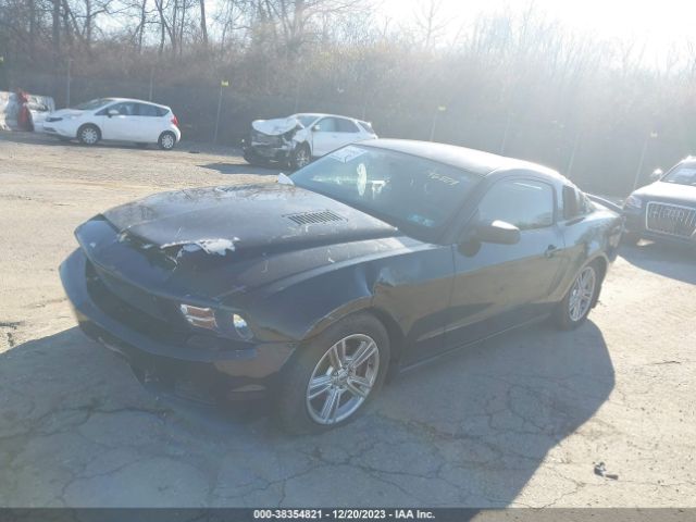 Photo 1 VIN: 1ZVBP8AN1A5146809 - FORD MUSTANG 