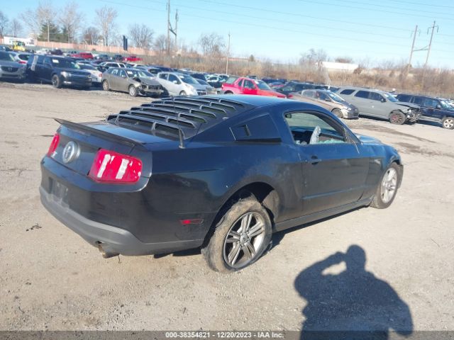 Photo 3 VIN: 1ZVBP8AN1A5146809 - FORD MUSTANG 