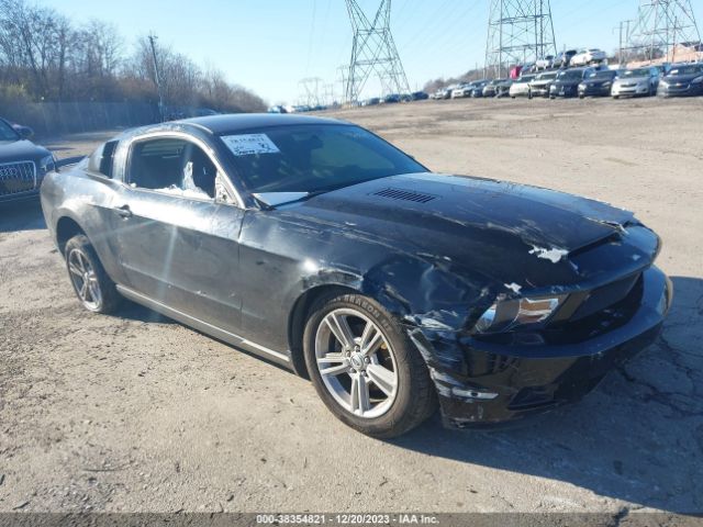 Photo 5 VIN: 1ZVBP8AN1A5146809 - FORD MUSTANG 