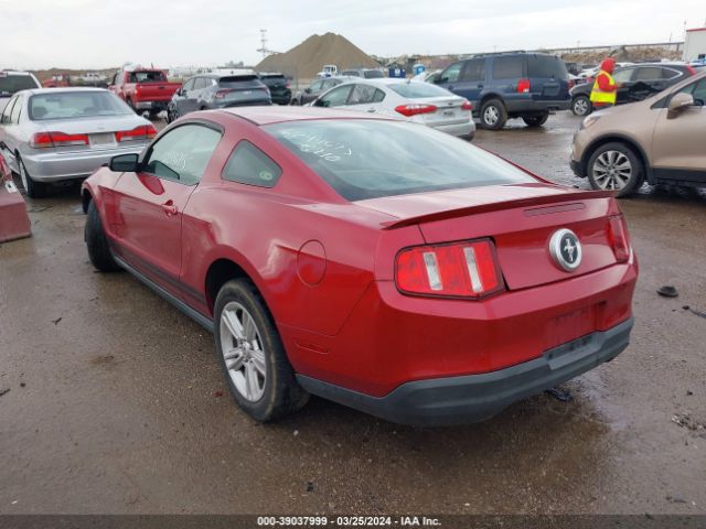 Photo 2 VIN: 1ZVBP8AN1A5155896 - FORD MUSTANG 