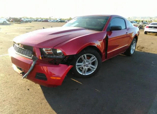 Photo 1 VIN: 1ZVBP8AN1A5166123 - FORD MUSTANG 