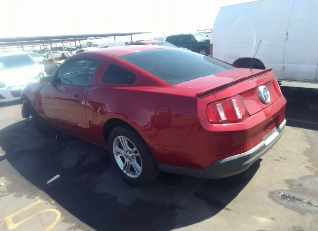 Photo 2 VIN: 1ZVBP8AN1A5166123 - FORD MUSTANG 