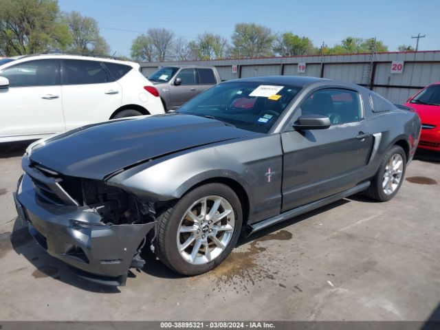 Photo 1 VIN: 1ZVBP8AN1A5169202 - FORD MUSTANG 