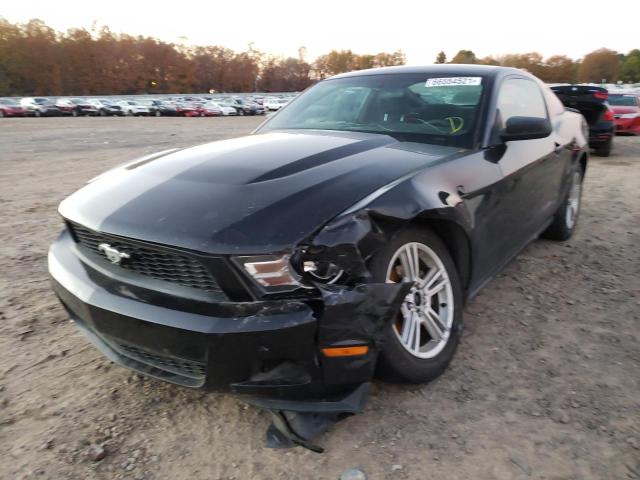 Photo 1 VIN: 1ZVBP8AN1A5170592 - FORD MUSTANG 