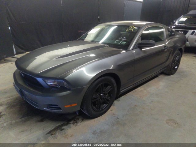 Photo 1 VIN: 1ZVBP8AN1A5176523 - FORD MUSTANG 