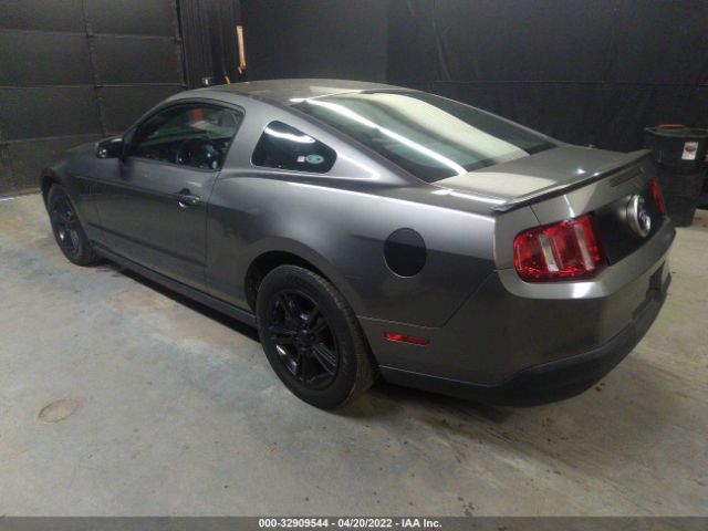 Photo 2 VIN: 1ZVBP8AN1A5176523 - FORD MUSTANG 