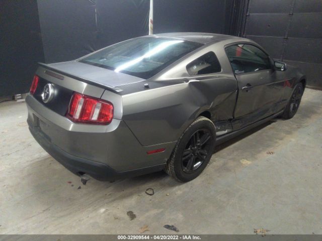 Photo 3 VIN: 1ZVBP8AN1A5176523 - FORD MUSTANG 