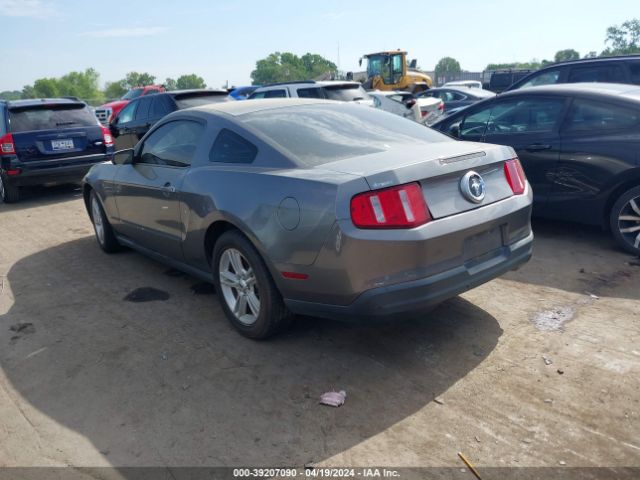 Photo 2 VIN: 1ZVBP8AN2A5101619 - FORD MUSTANG 