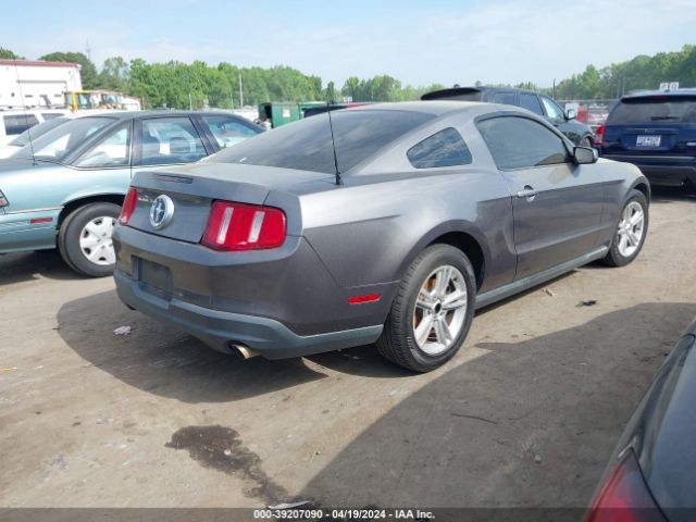 Photo 3 VIN: 1ZVBP8AN2A5101619 - FORD MUSTANG 