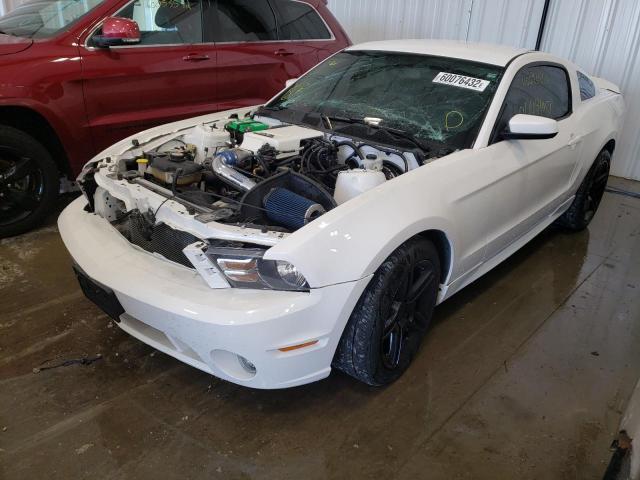 Photo 1 VIN: 1ZVBP8AN2A5104973 - FORD MUSTANG 