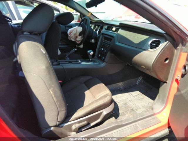 Photo 4 VIN: 1ZVBP8AN2A5112491 - FORD MUSTANG 