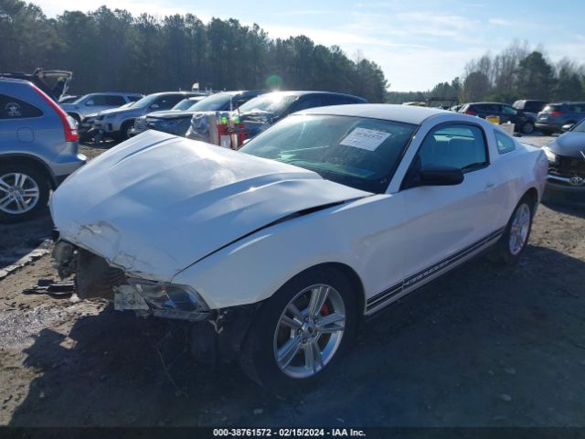 Photo 1 VIN: 1ZVBP8AN2A5136516 - FORD MUSTANG 