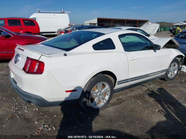 Photo 3 VIN: 1ZVBP8AN2A5136516 - FORD MUSTANG 