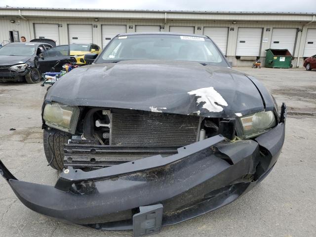 Photo 4 VIN: 1ZVBP8AN2A5143210 - FORD MUSTANG 