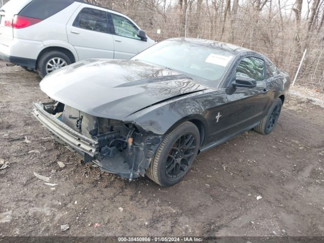 Photo 1 VIN: 1ZVBP8AN2A5146124 - FORD MUSTANG 