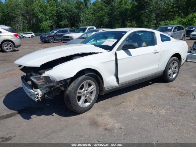 Photo 1 VIN: 1ZVBP8AN2A5158869 - FORD MUSTANG 