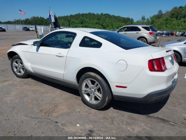 Photo 2 VIN: 1ZVBP8AN2A5158869 - FORD MUSTANG 