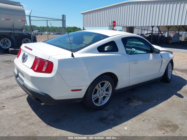 Photo 3 VIN: 1ZVBP8AN2A5158869 - FORD MUSTANG 