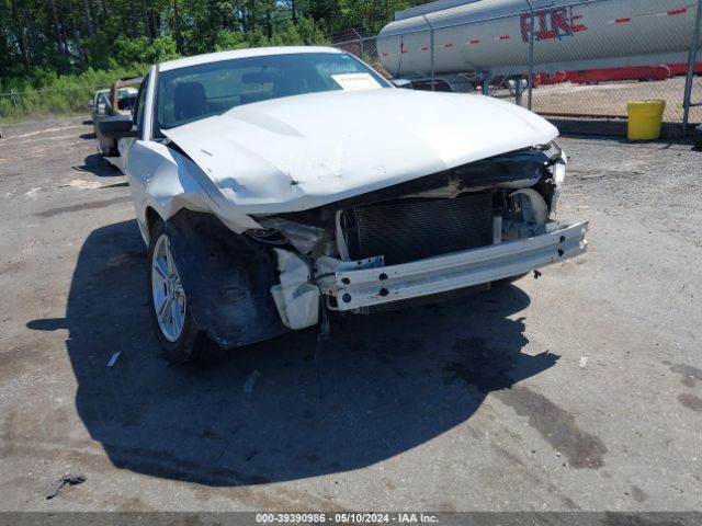 Photo 5 VIN: 1ZVBP8AN2A5158869 - FORD MUSTANG 