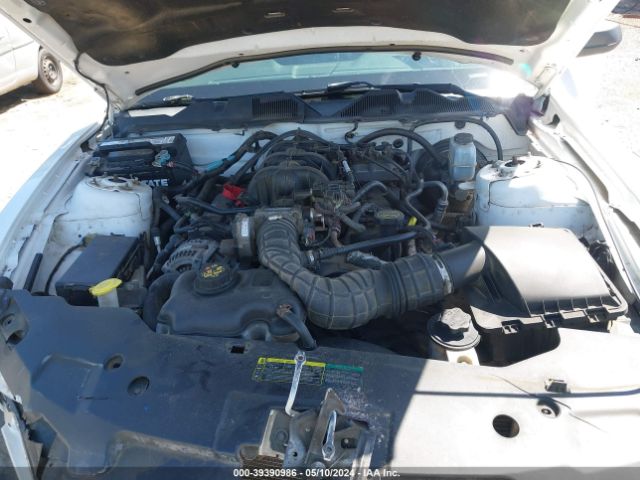 Photo 9 VIN: 1ZVBP8AN2A5158869 - FORD MUSTANG 