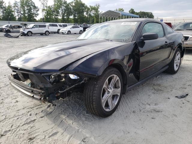 Photo 1 VIN: 1ZVBP8AN2A5159410 - FORD MUSTANG 