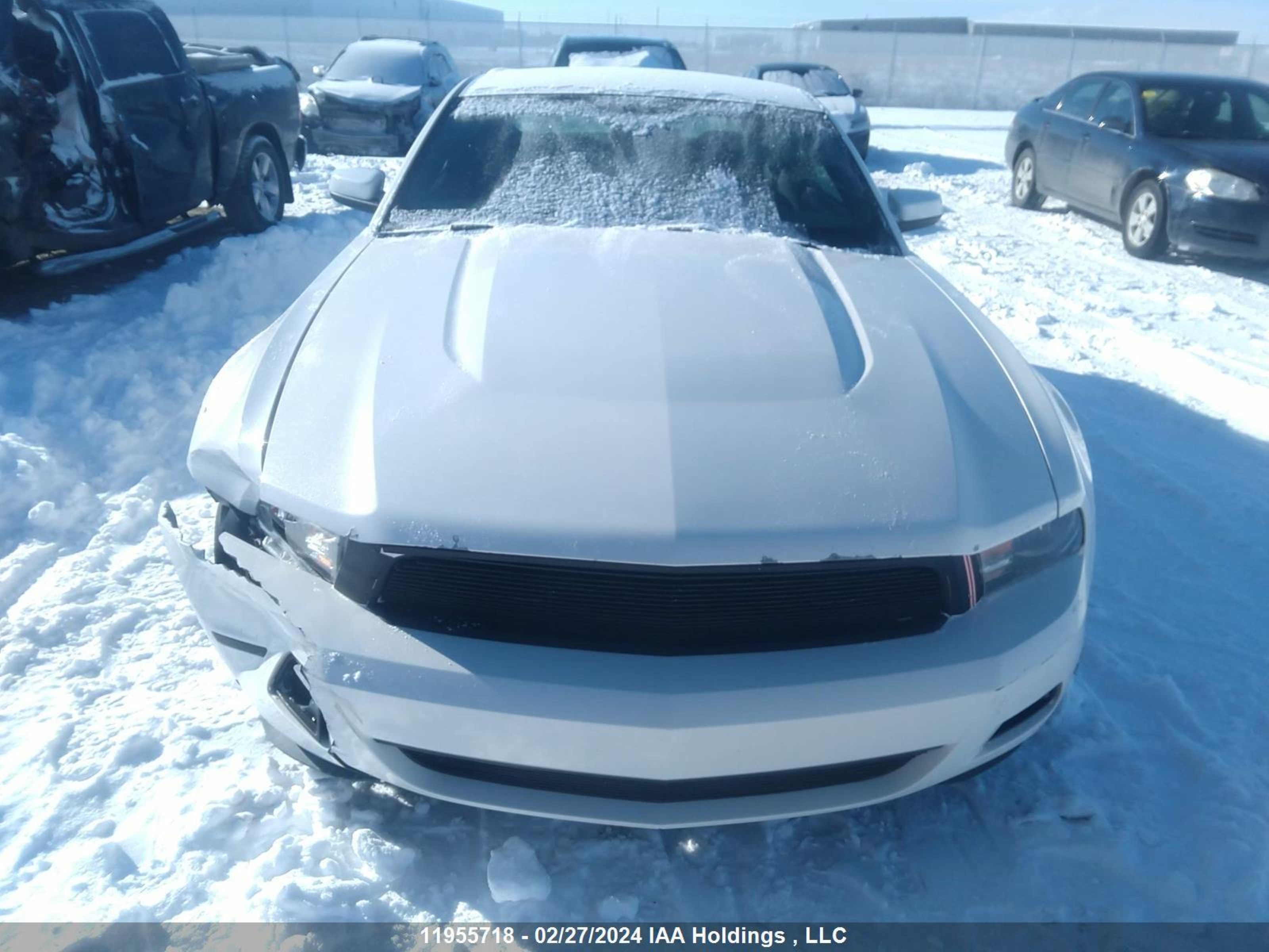 Photo 11 VIN: 1ZVBP8AN2A5166471 - FORD MUSTANG 