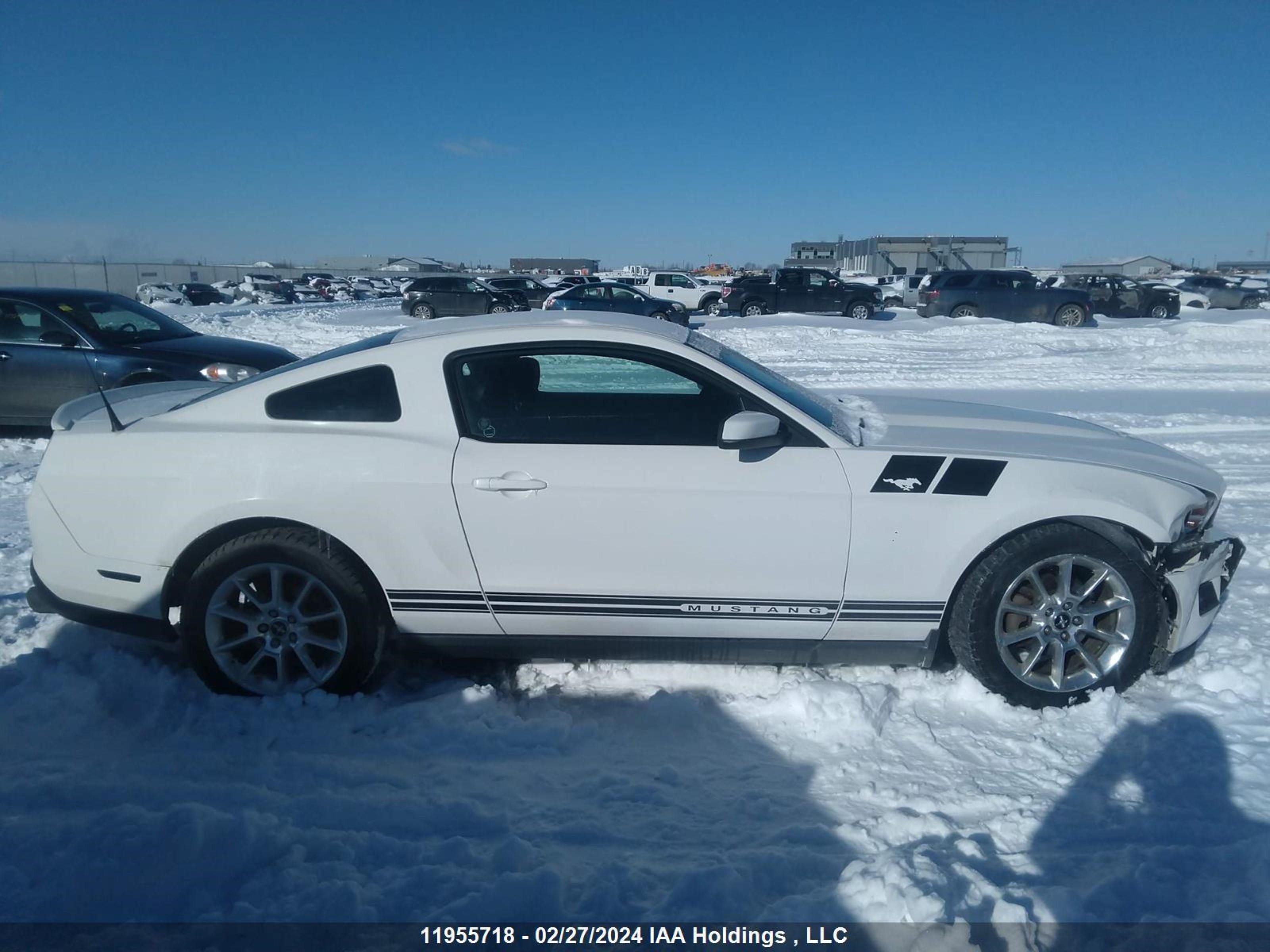 Photo 12 VIN: 1ZVBP8AN2A5166471 - FORD MUSTANG 