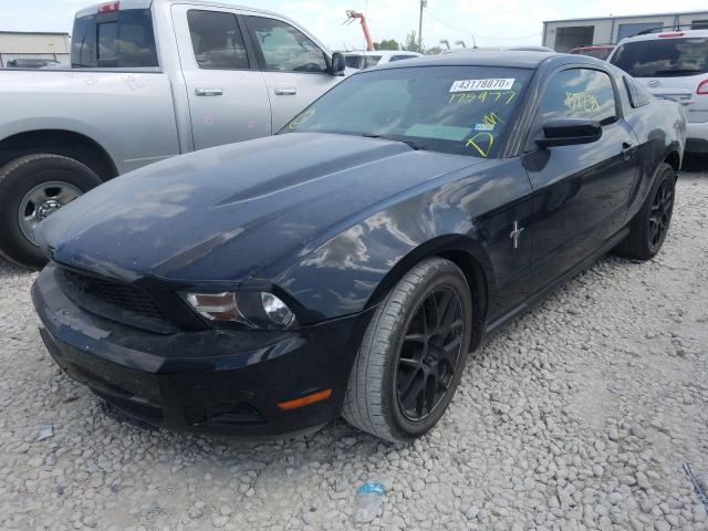 Photo 1 VIN: 1ZVBP8AN2A5175977 - FORD MUSTANG 