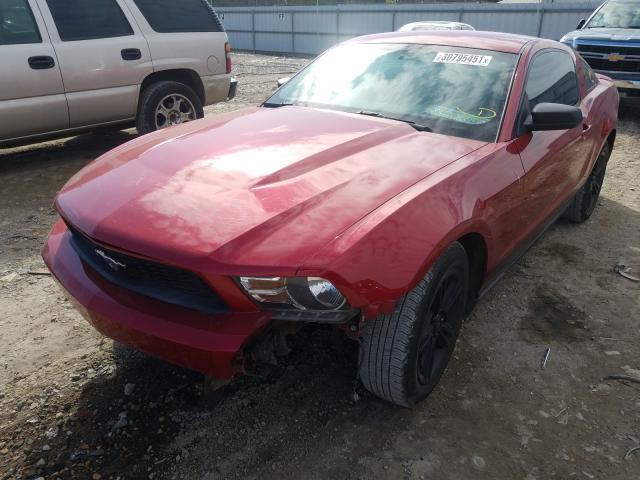 Photo 1 VIN: 1ZVBP8AN2A5176255 - FORD MUSTANG 