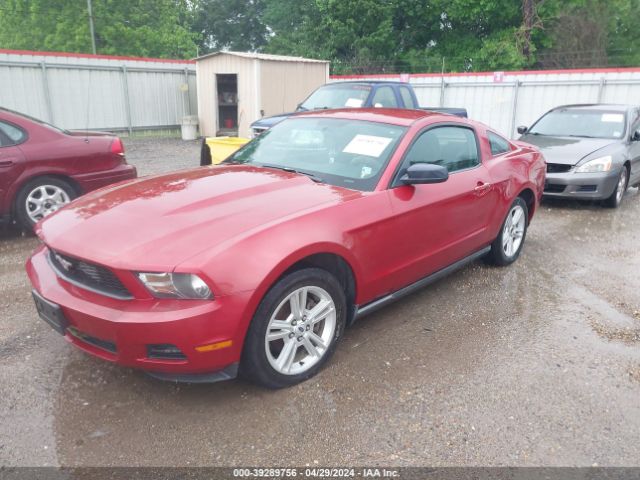 Photo 1 VIN: 1ZVBP8AN3A5101872 - FORD MUSTANG 