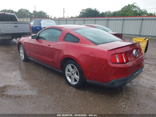 Photo 2 VIN: 1ZVBP8AN3A5101872 - FORD MUSTANG 