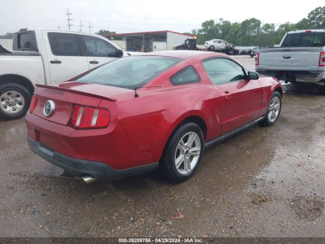 Photo 3 VIN: 1ZVBP8AN3A5101872 - FORD MUSTANG 