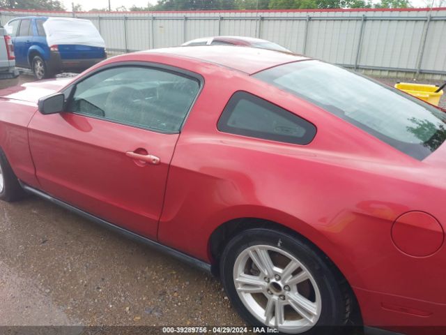 Photo 5 VIN: 1ZVBP8AN3A5101872 - FORD MUSTANG 