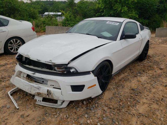 Photo 1 VIN: 1ZVBP8AN3A5102441 - FORD MUSTANG 