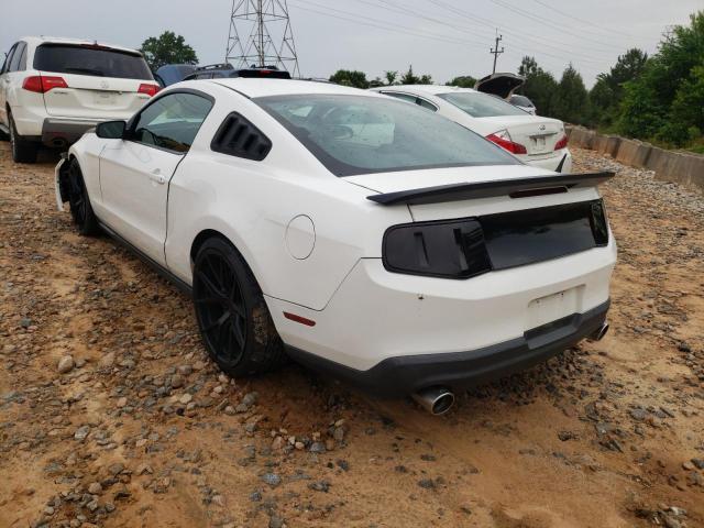 Photo 2 VIN: 1ZVBP8AN3A5102441 - FORD MUSTANG 