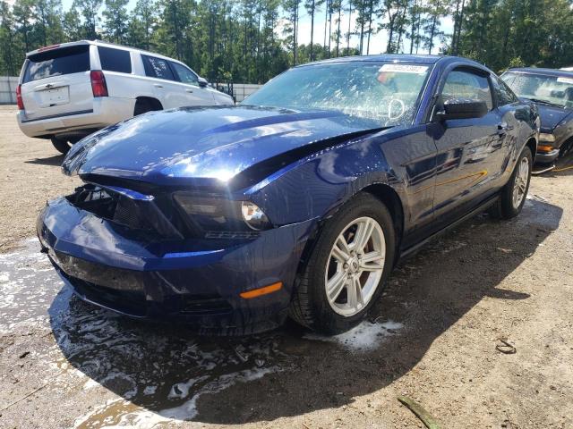 Photo 1 VIN: 1ZVBP8AN3A5128134 - FORD MUSTANG 