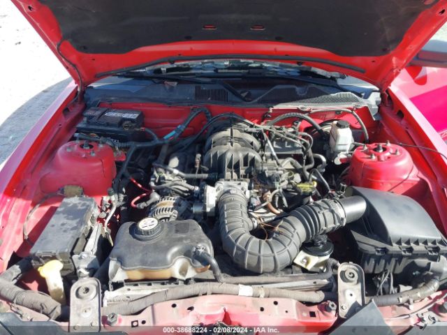 Photo 9 VIN: 1ZVBP8AN3A5133298 - FORD MUSTANG 