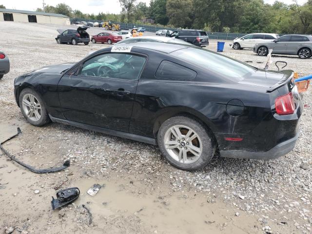 Photo 1 VIN: 1ZVBP8AN3A5148335 - FORD MUSTANG 